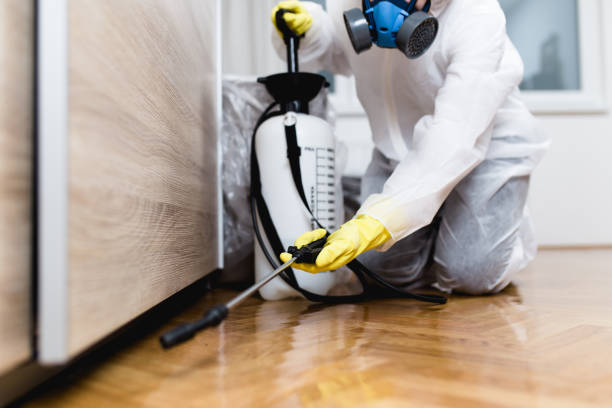 Best Pest Inspection Near Me  in Fountain Green, UT