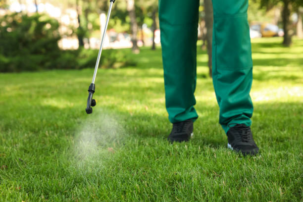 Best Bird Control  in Fountain Green, UT